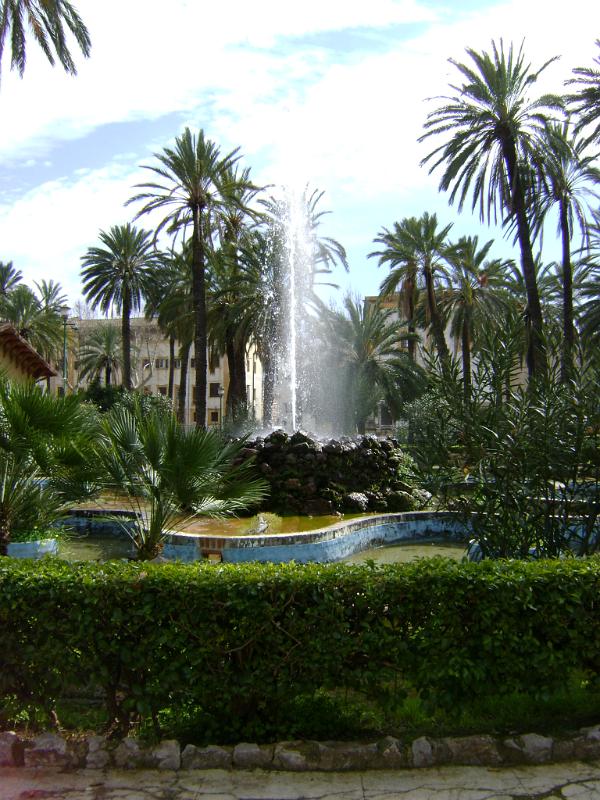 DSC01162.JPG