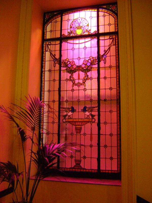 DSC01206.JPG