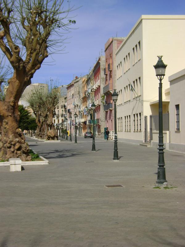DSC01225.JPG