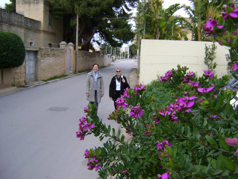 DSC01230.JPG
