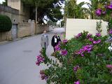 DSC01230