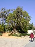 DSC00546